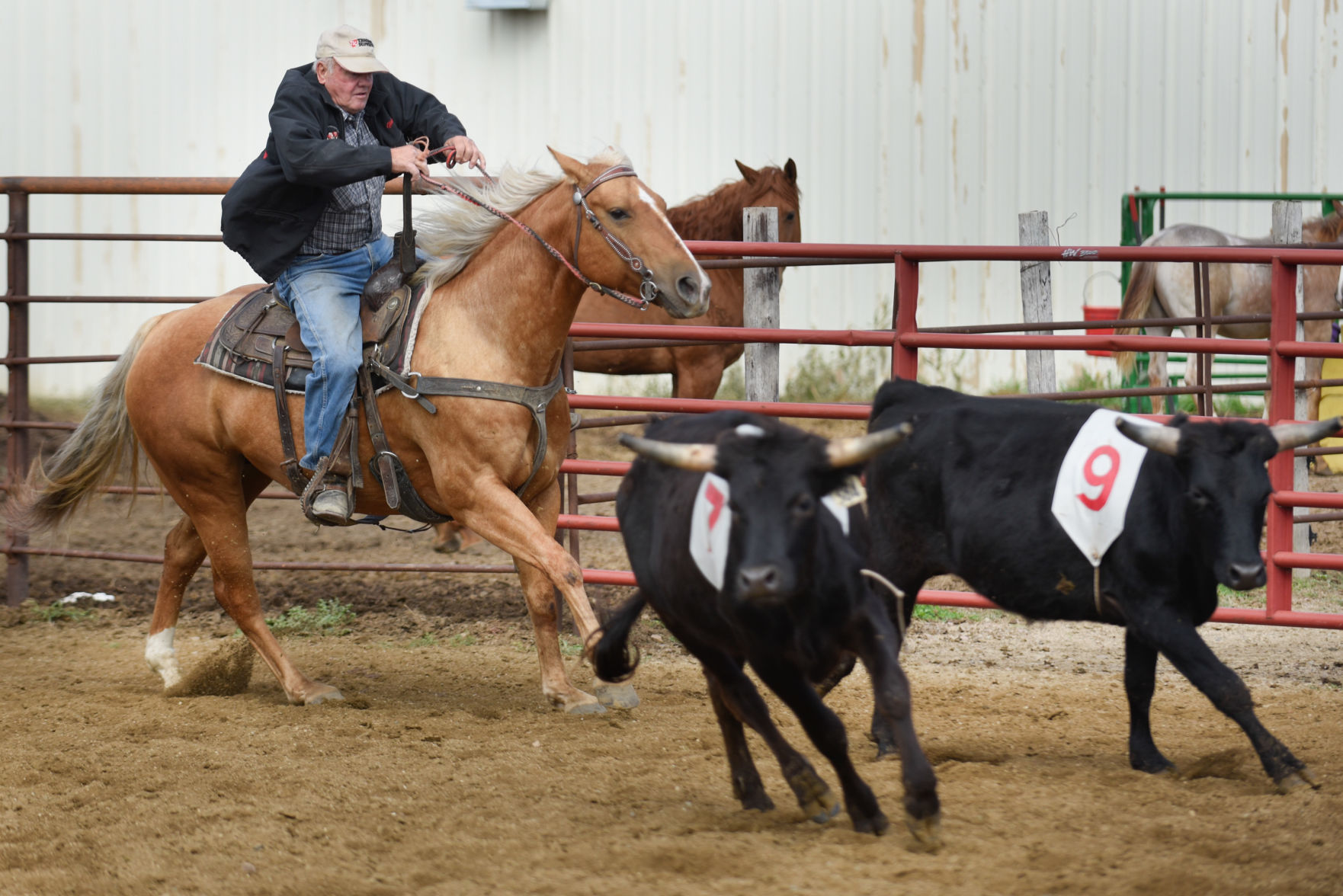 Harold Fischer Horse Penning